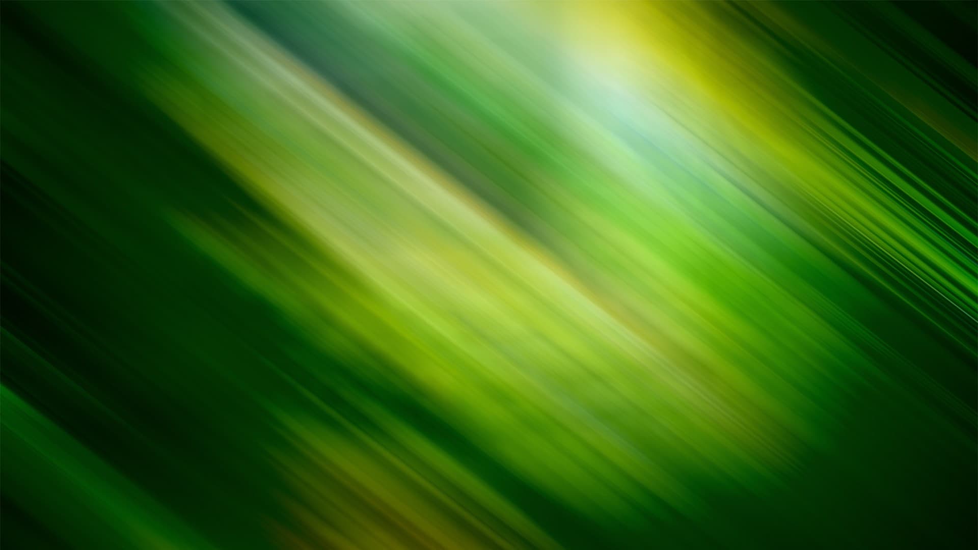 Dappled light through dark green foliage